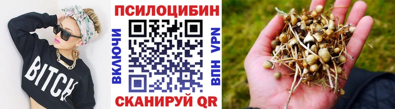 дарнет шоп  Орехово-Зуево  Псилоцибиновые грибы мицелий 